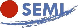 SEMI (Spanish Society of Internal Medicine) SEMI (Spanish Society of Internal Medicine)